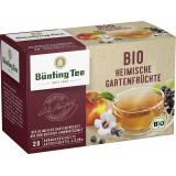 Bünting Tee Bio Heimische Gartenfrüchte <nobr>(20 x 2,25 g)</nobr>