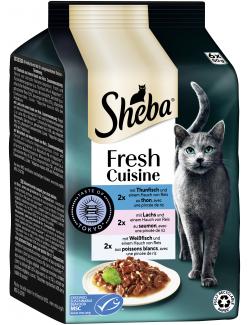 Sheba Fresh Cuisine Taste of Tokyo mit Fisch