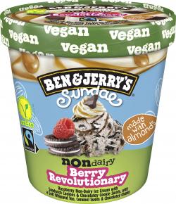 Ben & Jerrys Vegan Sundae Berry Revolutionary Non-Dairy Ice Cream