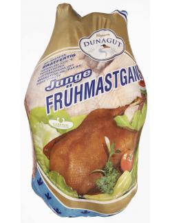 Dunagut Ungarn Junge Frühmastgans