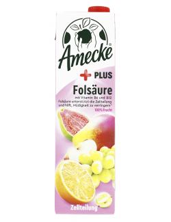 Amecke + Vitamine Folsäure für Zellbildung