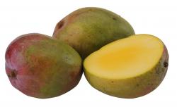 Bio Mangos