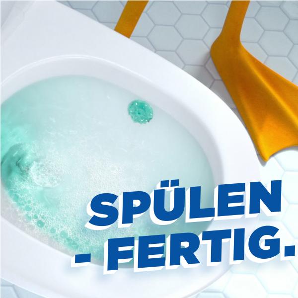 WC-Ente-Frische-Siegel-Marine-online-kaufen-bei-myTime.de