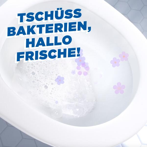 WC-Ente-Frische-Siegel-Marine-online-kaufen-bei-myTime.de