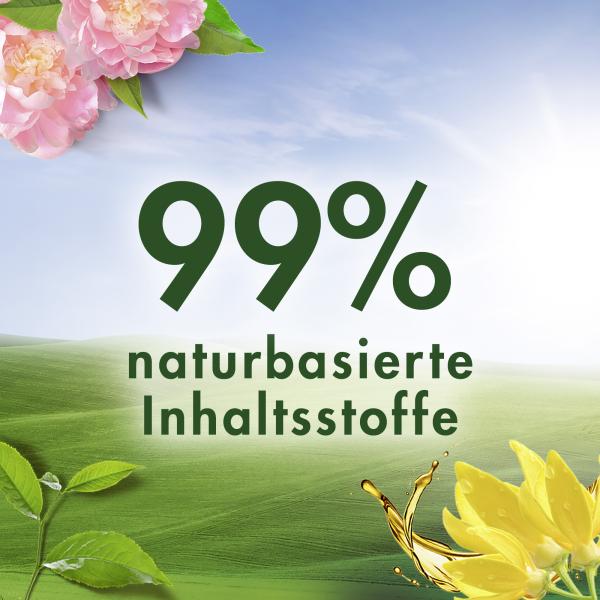 Vernel Weichspüler Naturals Ylang Ylang & Süßgras