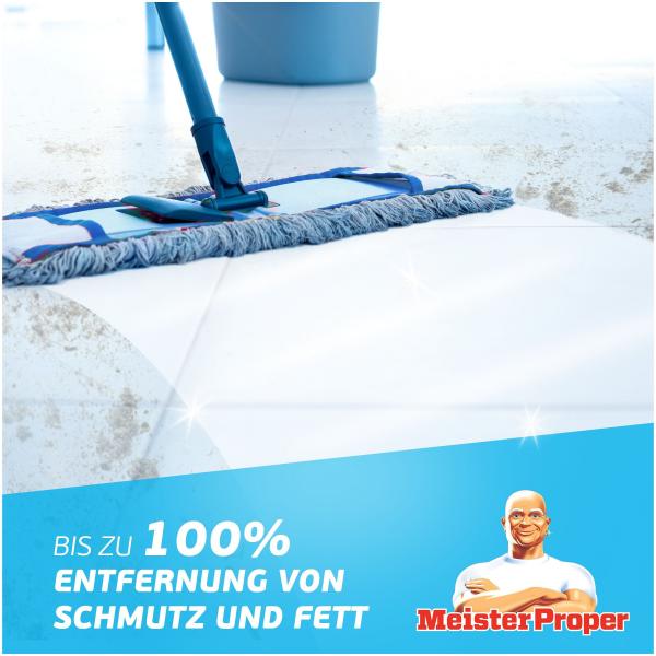 Meister Proper Allzweckreiniger Frühlingserwachen