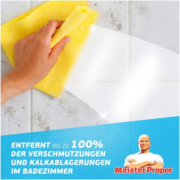 Meister Proper Badreiniger