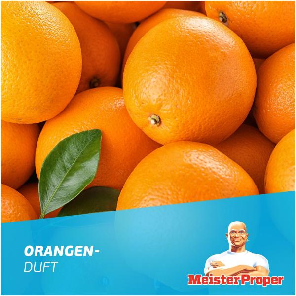 Meister Proper Küchenreiniger Sprühen-Wischen-Fertig Küche Orange