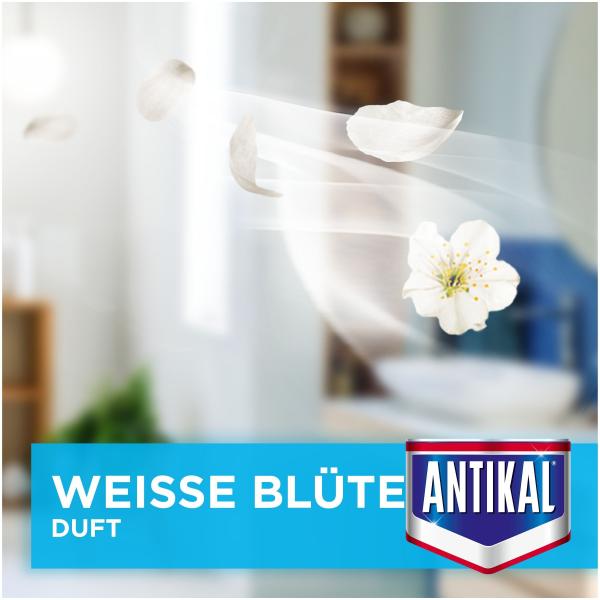 Antikal Kalkreiniger-Spray Dusche Express Weiße Frühlingsblume