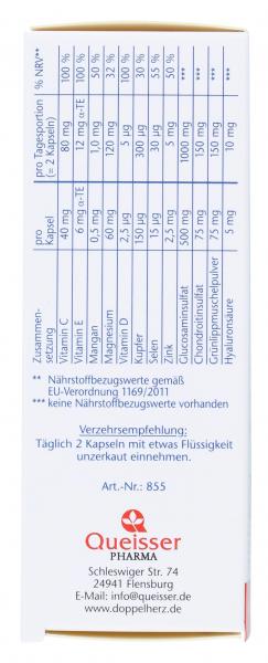 Doppelherz aktiv Gelenk 1000