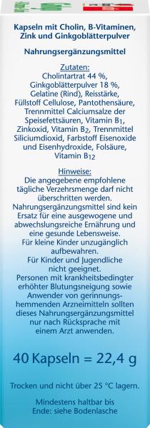 Doppelherz Ginkgo + B-Vitamine + Cholin