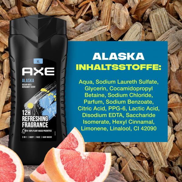 Axe Alaska 3in1 Duschgel XL