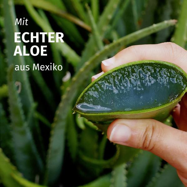 Herbal Essences Shampoo Feuchtigkeit Aloe