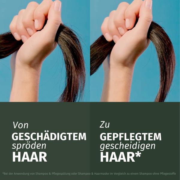 Herbal Essences Haarmaske Repair Argan Öl
