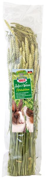Perfecto Nager Hafer & Weizen Sträußchen