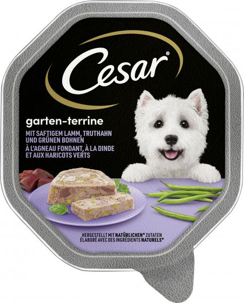 Cesar Garten-Terrine mit saftigem Lamm