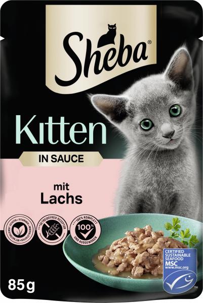 Sheba Kitten in Sauce mit Lachs