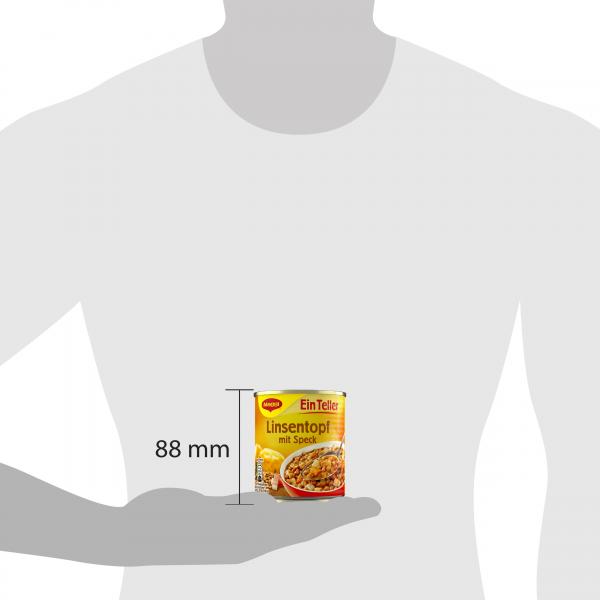 Maggi Ein Teller Linsentopf mit Speck