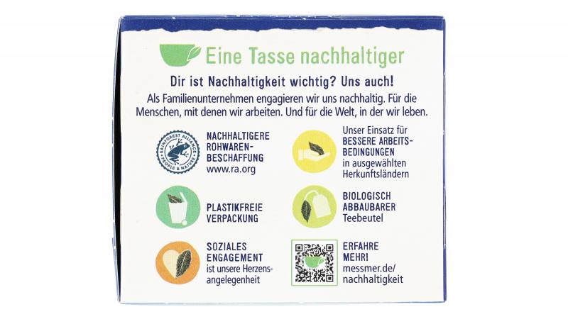 Meßmer Grüner Tee Detox Brennessel