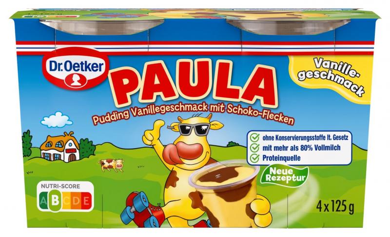 Dr. Oetker Paula Pudding Vanillegeschmack mit Schoko-Flecken