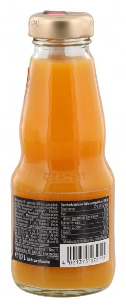 Vaihinger Multivitamin 10 Fruchtsaft (Mehrweg)