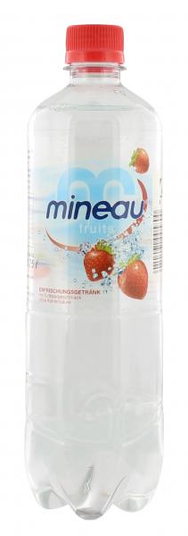 Mineau Fruits Erfrischungsgetränk Erdbeere (Einweg)