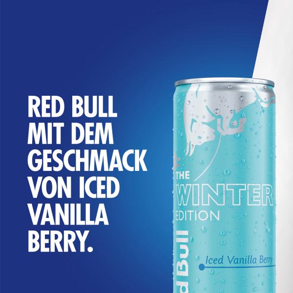 Red Bull The Winter Edition Iced Vanilla Berry (Einweg)