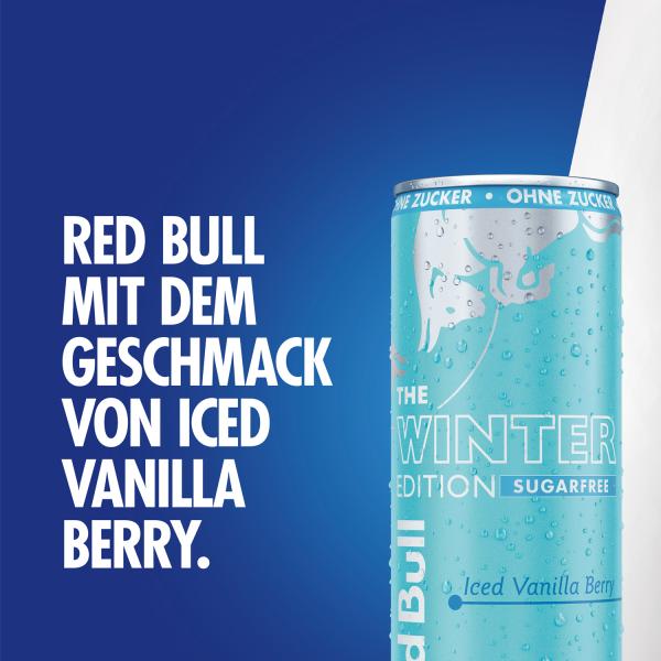 Red Bull The Winter Edition Iced Vanilla Berry Sugarfree (Einweg)