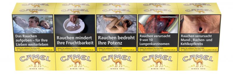 Camel Yellow BP L