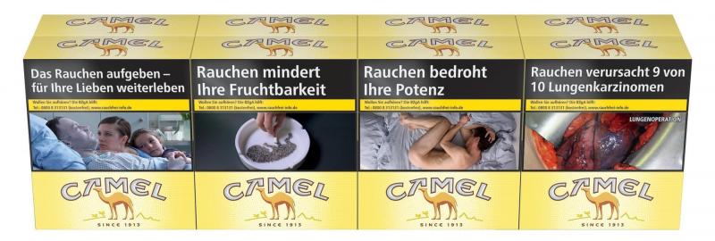 Camel Yellow BP 2XL
