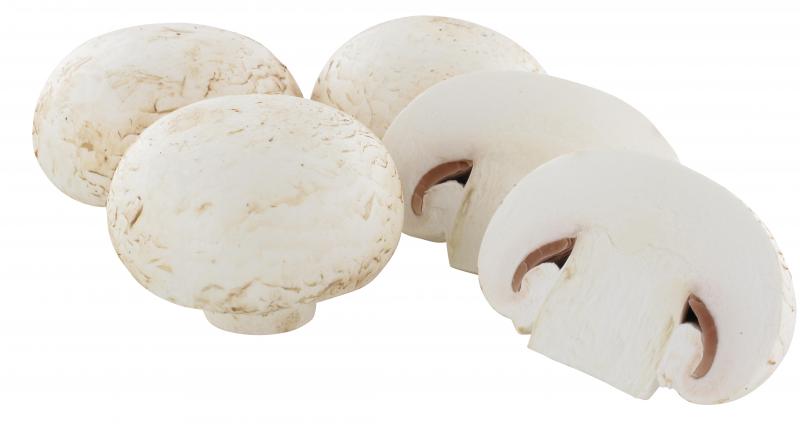 Goldmarie Riesen Champignons weiß