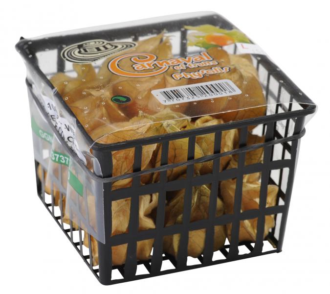 Physalis