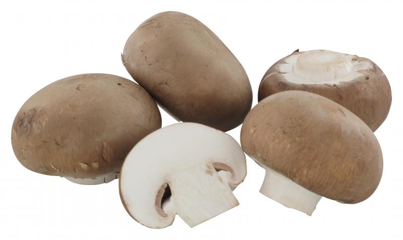 Creme Champignons