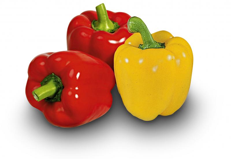 Bio Paprika rot/gelb