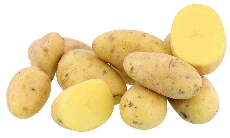 Kartoffeln Belana festkochend