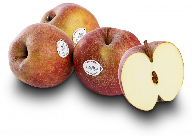 Apfel Sorte Roter Boskoop 80/90 er