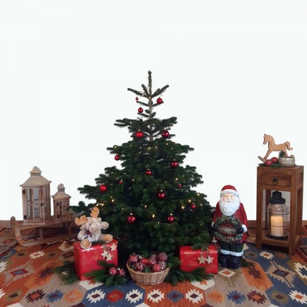 Weihnachtsbaum Nordmanntanne M 125-150cm