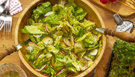 Kopfsalat mit Radieschen und Kresse Kopfsalat mit Radieschen und Kresse