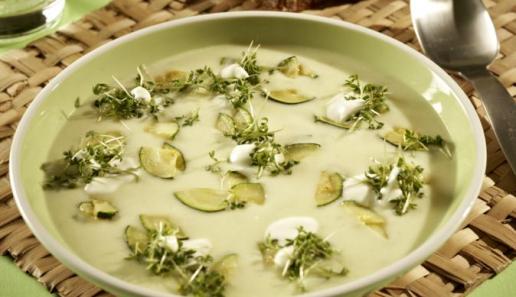Zucchini-Lauch-Suppe mit Kresse Zucchini-Lauch-Suppe mit Kresse